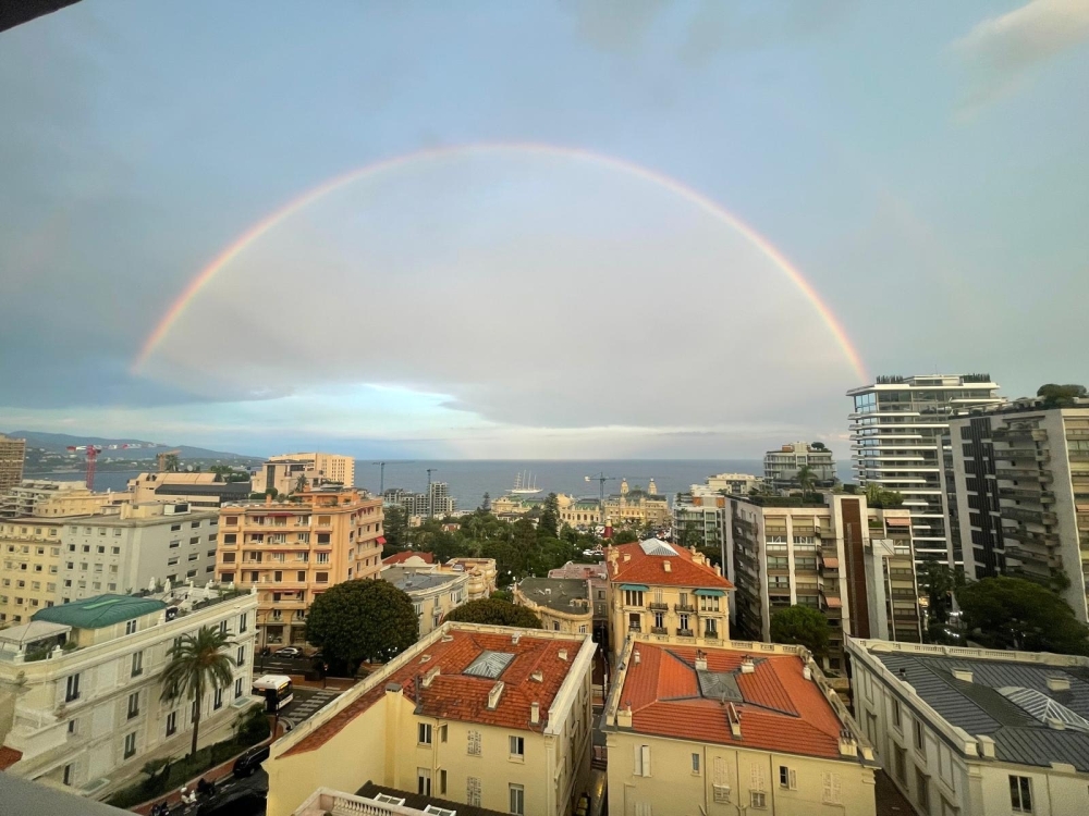 Dotta 2 rooms apartment for rent - RIVIERA PALACE - Monte-Carlo - Monaco - imgimage00006