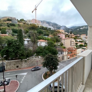 Dotta Appartement de 4 pieces a vendre - CHaTEAU PERIGORD II - La Rousse - Monaco - imgimage8