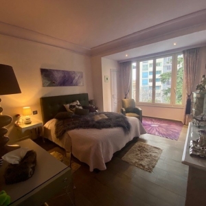 Dotta Appartement de 6+ pieces a vendre - VILLA ALBAYA - Saint-Roman - Monaco - img14