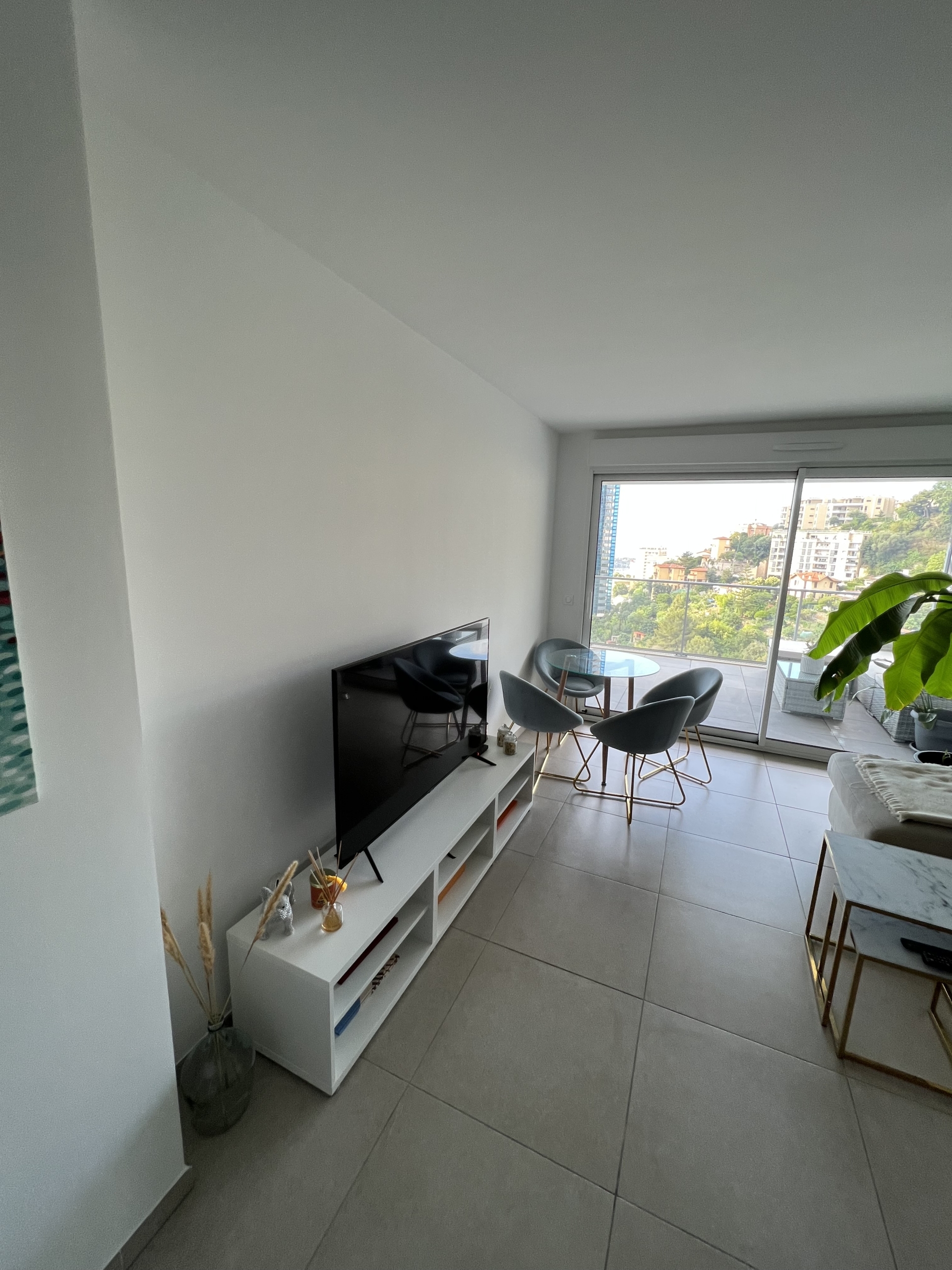 Dotta Appartement de 2 pieces a louer - SUN PARADISE - Beausoleil - Beausoleil - img1360
