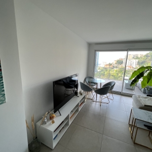 Dotta Appartement de 2 pieces a louer - SUN PARADISE - Beausoleil - Beausoleil - img1360