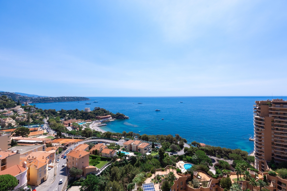 Dotta Appartement de 5 pieces a vendre - PARC SAINT ROMAN - La Rousse - Monaco - img074a0487