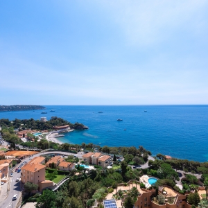 Dotta Appartement de 5 pieces a vendre - PARC SAINT ROMAN - La Rousse - Monaco - img074a0487