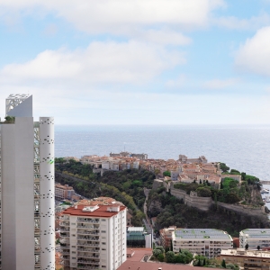 Dotta Appartement de 5 pieces a vendre - PATIO PALACE - Jardin Exotique - Monaco - img1