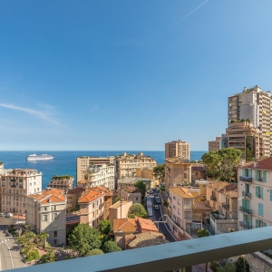 Dotta Appartement de 4 pieces a vendre - ANNONCIADE - La Rousse - Monaco - img1
