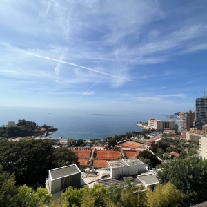 Dotta Appartement de 3 pieces a vendre - L'APOLLON - Roquebrune-Cap-Martin - Roquebrune-Cap-Martin - imgtempimageeygihq