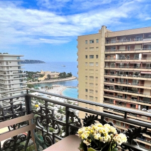 Dotta Appartement de 5 pieces a vendre - RADIEUSE - La Rousse - Monaco - imgimage00011