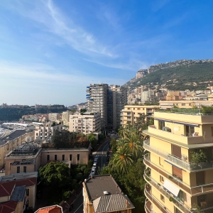 Dotta Appartement de 3 pieces a vendre - PARK PALACE - Monte-Carlo - Monaco - img7