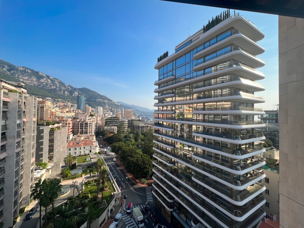 Dotta Appartement de 3 pieces a vendre - PARK PALACE - Monte-Carlo - Monaco - img8