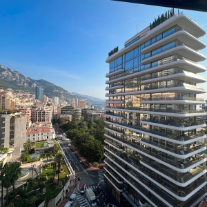 Dotta Appartement de 3 pieces a vendre - PARK PALACE - Monte-Carlo - Monaco - img8