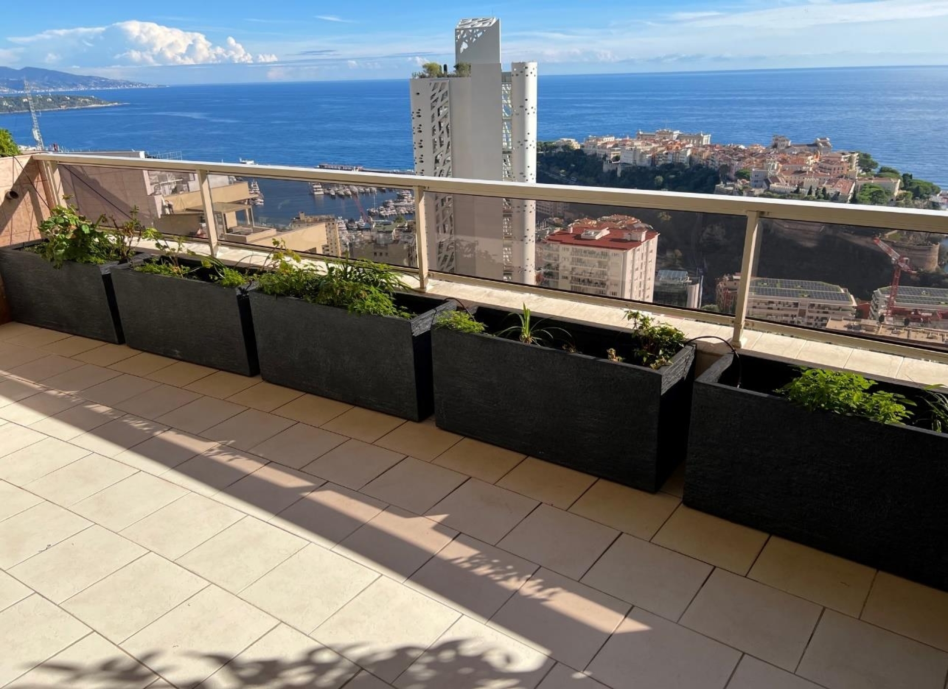 Dotta Appartement de 5 pieces a vendre - PATIO PALACE - Jardin Exotique - Monaco - img2