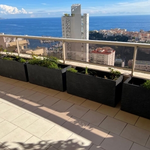 Dotta Appartement de 5 pieces a vendre - PATIO PALACE - Jardin Exotique - Monaco - img2