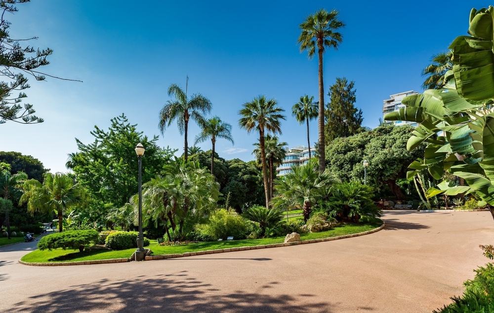 Dotta Murs commerciaux a vendre - FLORALIES - Monte-Carlo - Monaco - imgn