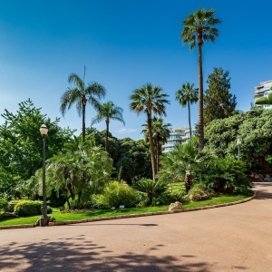 Dotta Murs commerciaux a vendre - FLORALIES - Monte-Carlo - Monaco - imgn