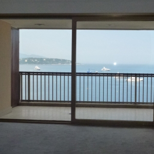 Dotta Appartement de 2 pieces a vendre - MIRABEAU - Monte-Carlo - Monaco - img3