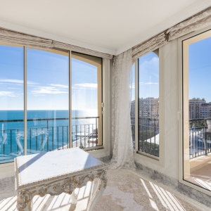 Dotta Duplex a vendre - MONTE MARINA - Fontvieille - Monaco - imghdr