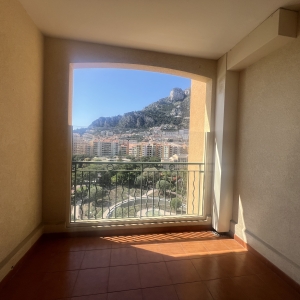 Dotta Appartement de 2 pieces a vendre - ROSA MARIS - Fontvieille - Monaco - imgimage00003