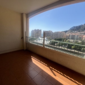 Dotta Appartement de 2 pieces a vendre - ROSA MARIS - Fontvieille - Monaco - imgimage00011