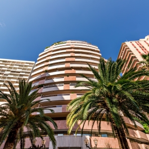 Dotta Bureaux a louer - PATIO PALACE - Jardin Exotique - Monaco - img0075-copy