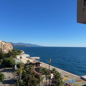 Dotta Appartement de 6+ pieces a vendre - SEASIDE PLAZA - Fontvieille - Monaco - img19