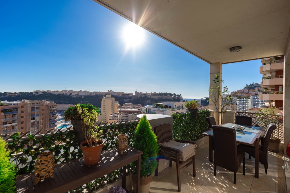 Dotta Appartement de 3 pieces a vendre - HARBOUR CREST - La Condamine - Monaco - img074a3532