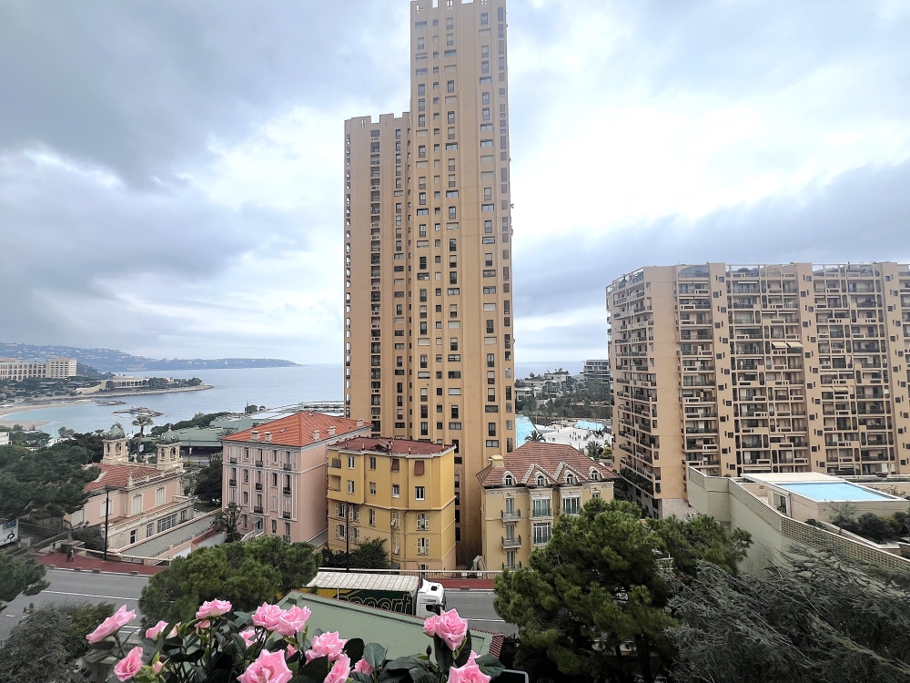 Dotta Appartement de 4 pieces a vendre - PALAIS SIJEAN - Monte-Carlo - Monaco - img11