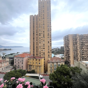 Dotta Appartement de 4 pieces a vendre - PALAIS SIJEAN - Monte-Carlo - Monaco - img11