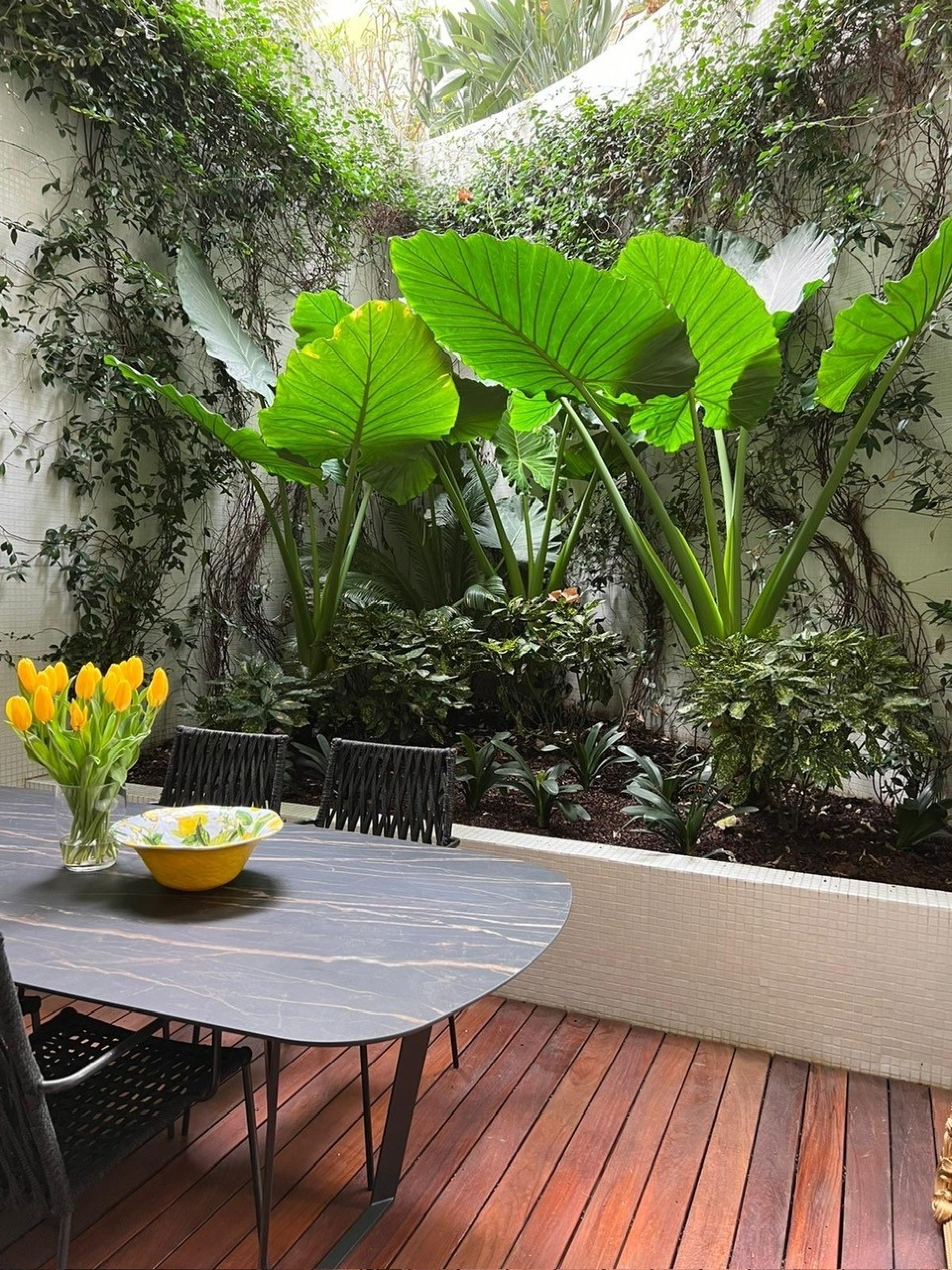 Dotta Appartement de 2 pieces a vendre - LE STELLA - La Condamine - Monaco - imgimage4