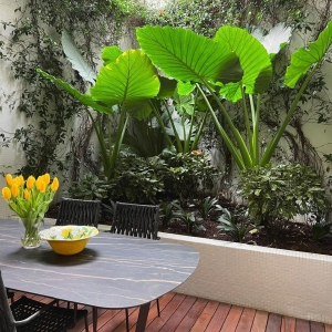 Dotta Appartement de 2 pieces a vendre - LE STELLA - La Condamine - Monaco - imgimage4
