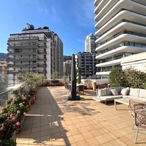 Dotta Appartement de 6+ pieces a louer - BOULINGRINS - Monte-Carlo - Monaco - img14