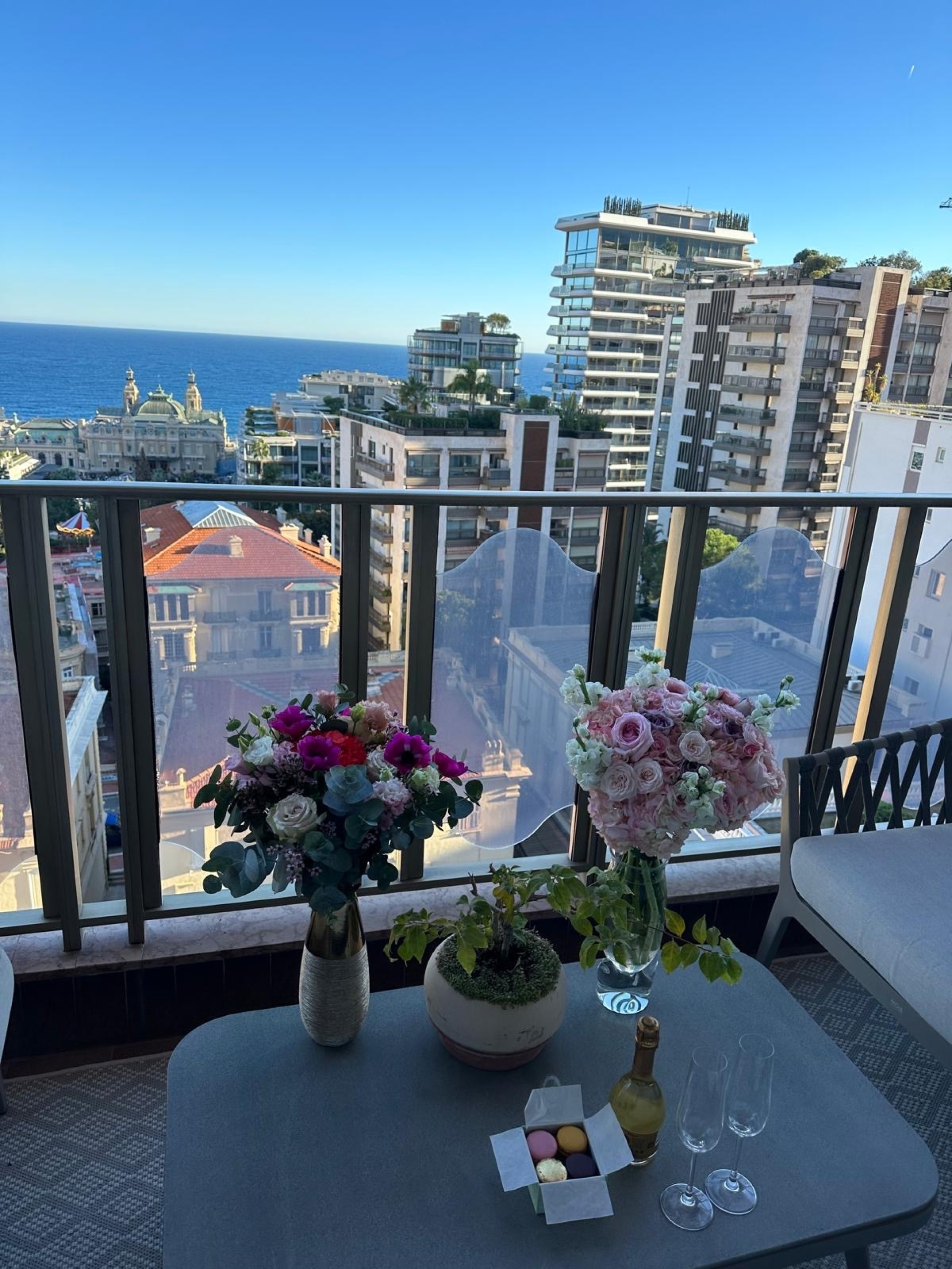 Dotta Appartement de 2 pieces a louer - RIVIERA PALACE - Monte-Carlo - Monaco - imgimage00007