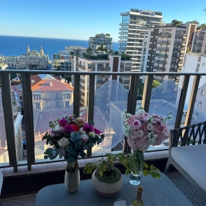 Dotta Appartement de 2 pieces a louer - RIVIERA PALACE - Monte-Carlo - Monaco - imgimage00007