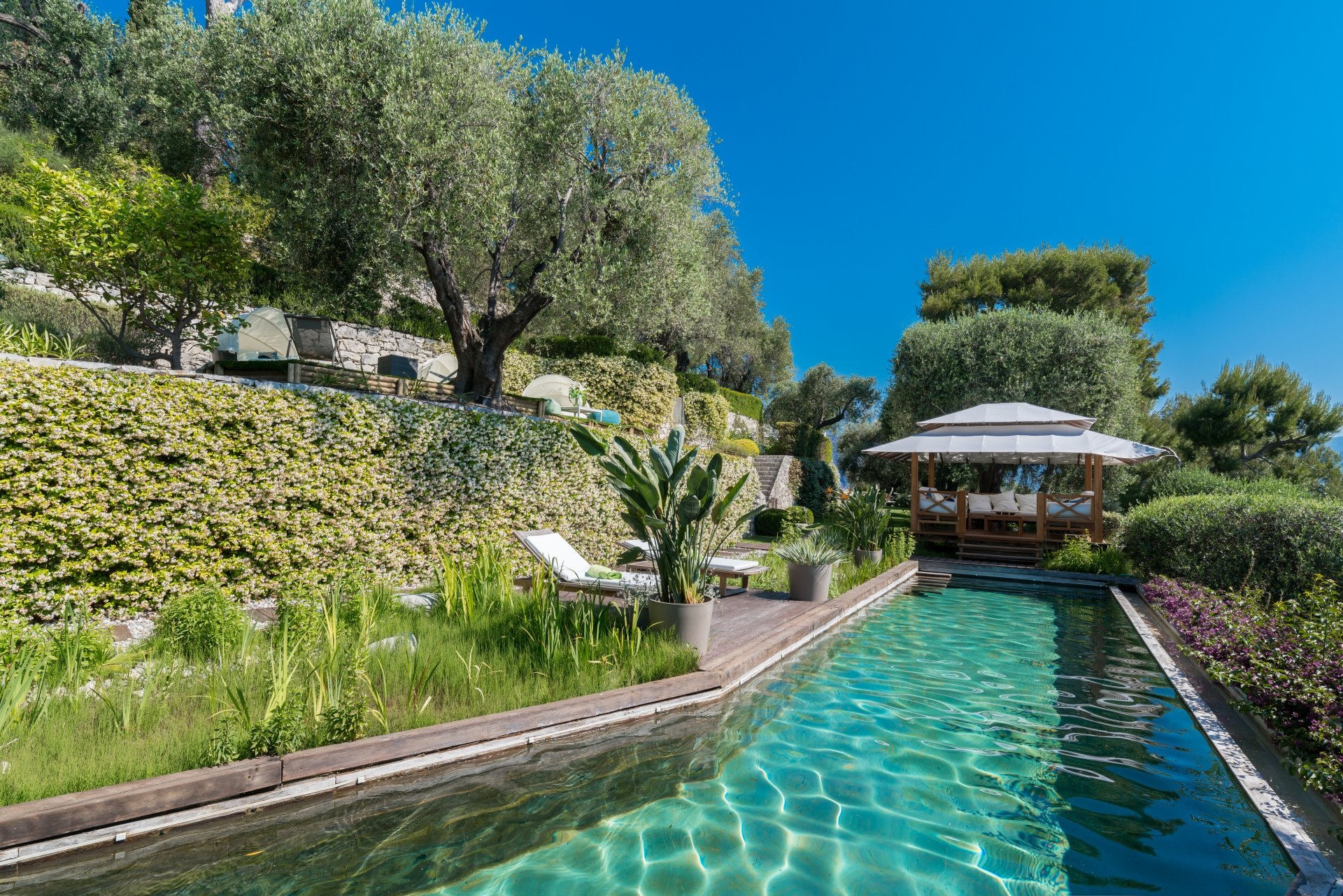 Dotta Villa for rent - VILLA O - Saint-Jean-Cap-Ferrat - Saint-Jean-Cap-Ferrat - img9