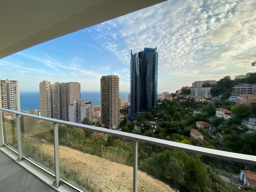 Dotta 2 rooms apartment for rent - SUN PARADISE - Beausoleil - Beausoleil - img7271