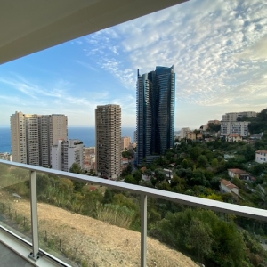 Dotta 2 rooms apartment for rent - SUN PARADISE - Beausoleil - Beausoleil - img7271