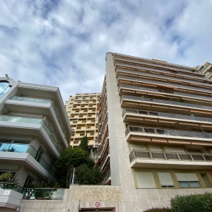 Dotta 4 rooms apartment for sale - VALLESPIR - Larvotto - Monaco - img8187