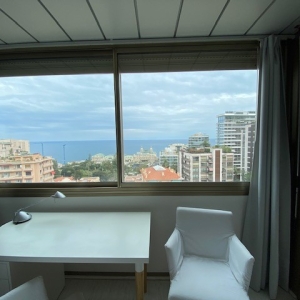 Dotta 2 rooms apartment for rent - RIVIERA PALACE - Monte-Carlo - Monaco - img7