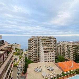 Dotta 4 rooms apartment for sale - CHaTEAU PERIGORD II - La Rousse - Monaco - imgvm1444