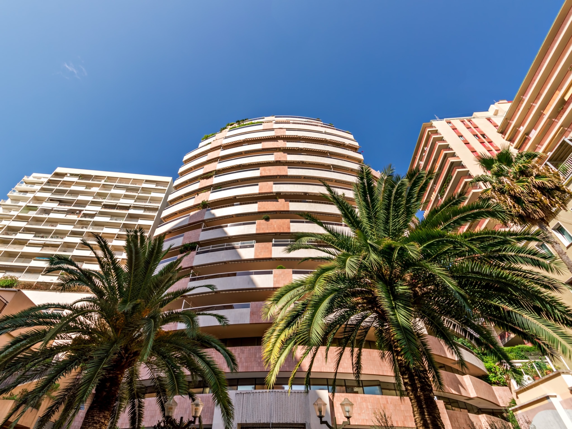 Dotta Offices for rent - PATIO PALACE - Jardin Exotique - Monaco - img0075-copy