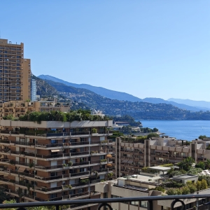 Dotta 6+ rooms apartment for rent - METROPOLE - Monte-Carlo - Monaco - img13