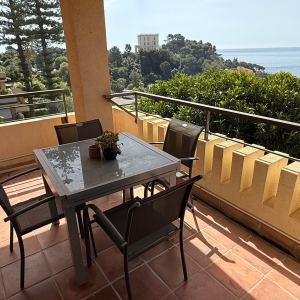 Dotta 3 rooms apartment for sale - COUNTRY PARK - Parc St Roman - Roquebrune-Cap-Martin - imgimage00006