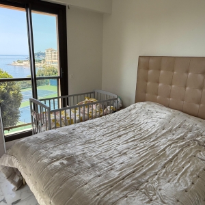 Dotta 3 rooms apartment for sale - COUNTRY PARK - Parc St Roman - Roquebrune-Cap-Martin - imgimage00001